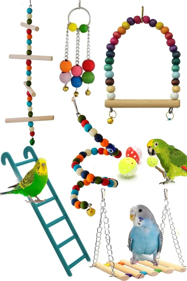 Örnek Toptan Petshop - 3